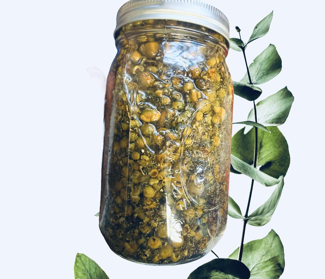 Liquid Goat Milk Soap | Botanic Infused Tallow & Colloidal Silver | ALL ESSENTIAL OIL SCENTS | All Purpose Body/Hair/Cleaning/+More