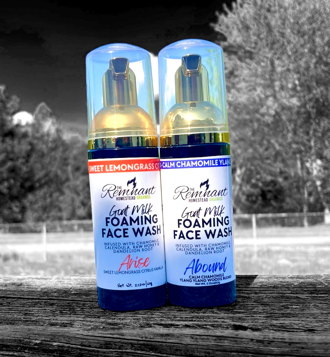 Foaming Face Wash Soap | Botanic Infused | Goat Milk Beef Tallow & Shea Butter | Colloidal Silver | Face & Beards