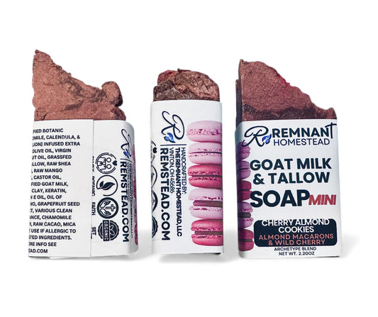 Cherry Almond Macaron | Tallow & Goat Milk Soap Bar | Unisex | Archetype (Best Seller)