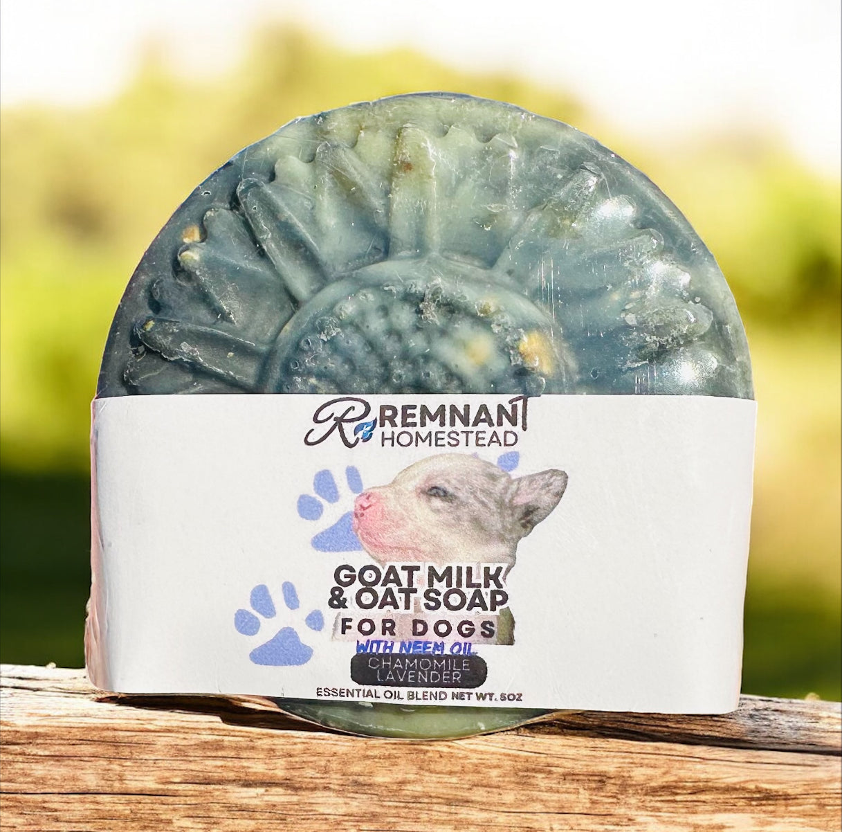 Currently In Stock Soap Bars