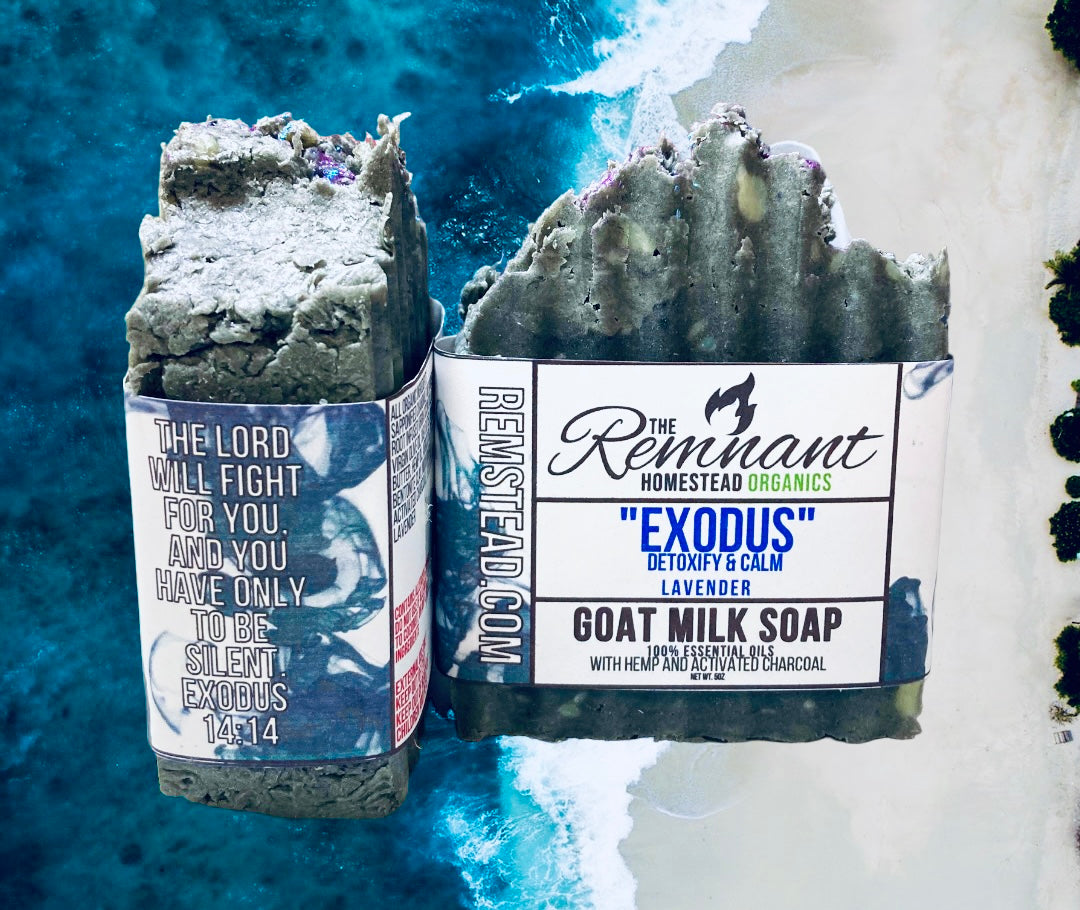 Activated Charcoal & Bentonite FACE GM Soap Bar [Exodus Lavender & Lemon]