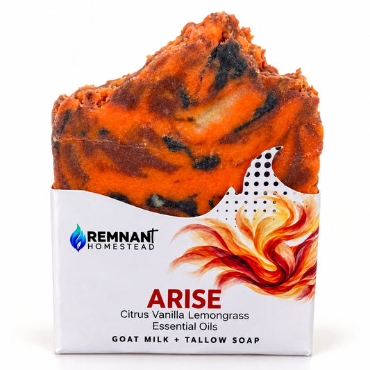 ARISE [EO] | Tallow & Goat Milk Soap | Citrus Vanilla Lemongrass | Fruity Bubblegum