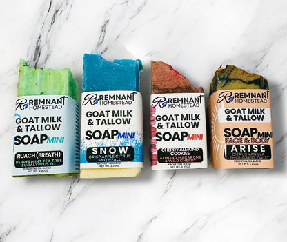 Mini Soap Bars, In Stock [Goat Milk & Tallow]