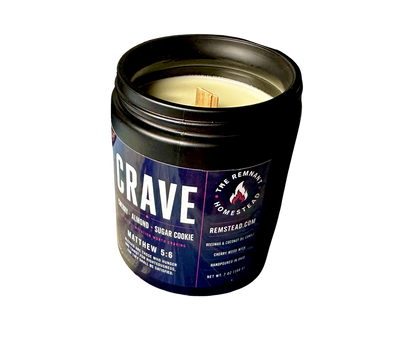CANDLES | FULL SIZE | WOODWICK BEESWAX COCO